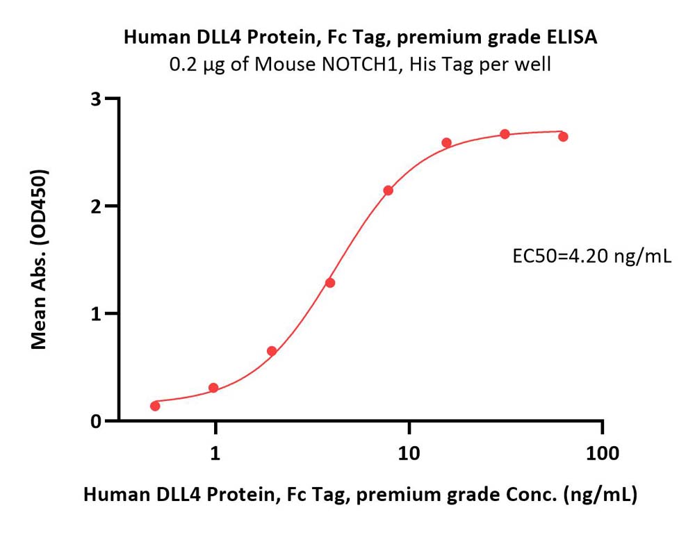 DLL4 ELISA