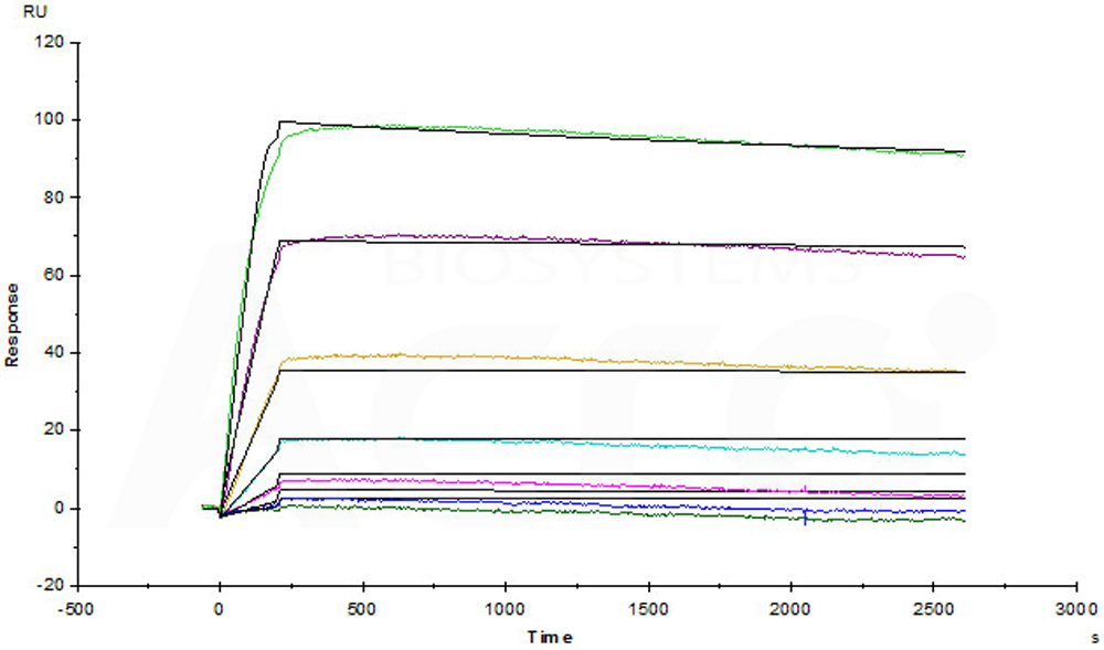 Rituximab SPR