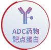 ADC药物研发解决方案