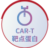 CAR-T靶点蛋白