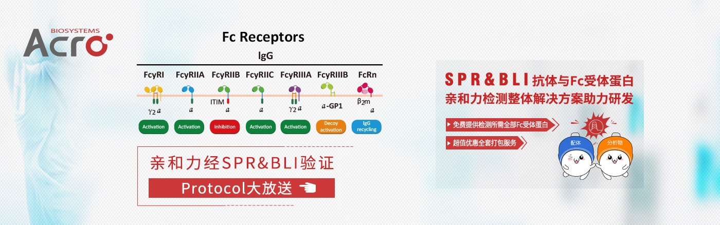 高纯度Fc受体蛋白